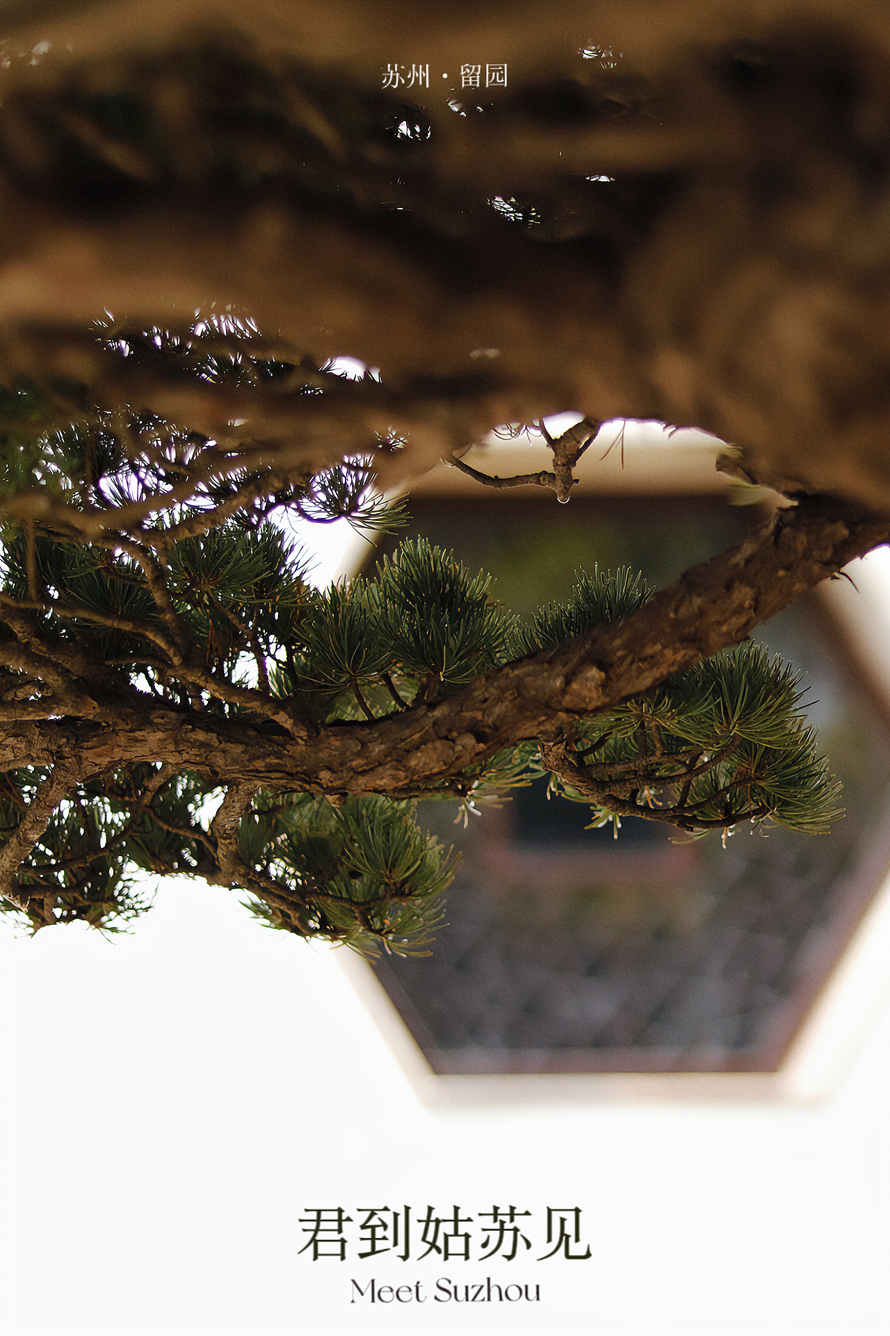 君到姑苏见|苏州·留园-中式美学摄影