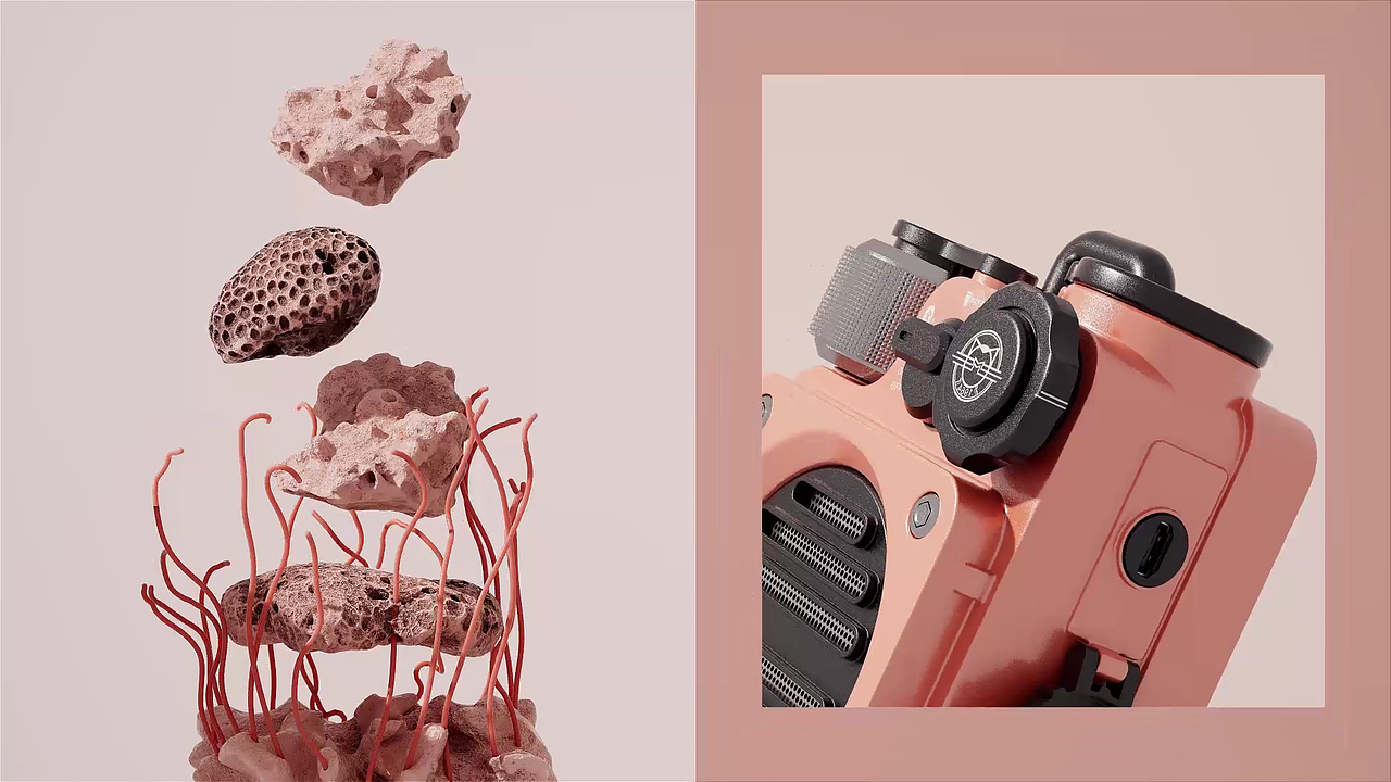 猫王音响动画案例练习