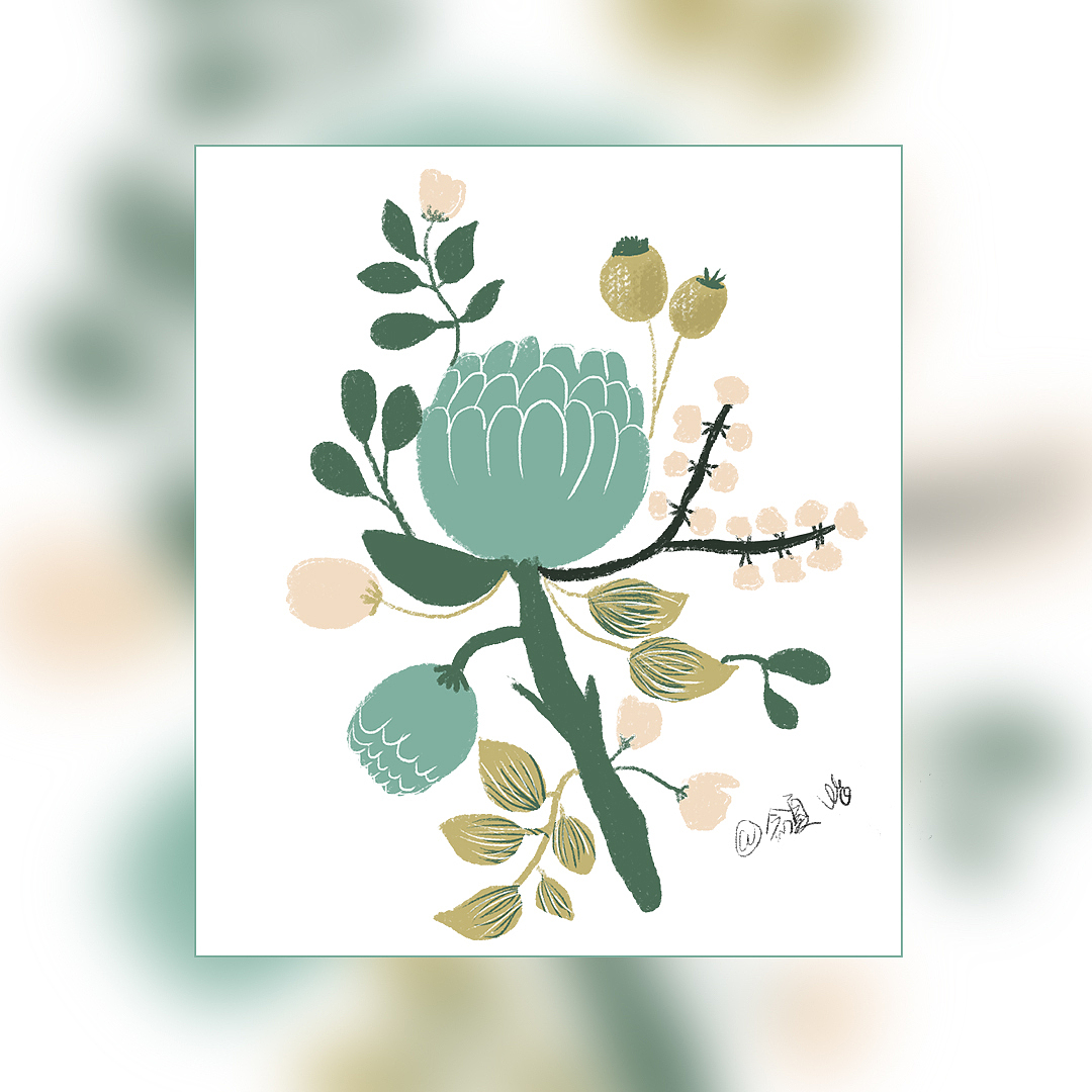植物花卉插画练习-漂亮的花画起来真的好治愈（图ZMzEzNzA0NzIw） - 艺术插画 - 站酷设计师念夏原创素材 - 站酷ZCOOL