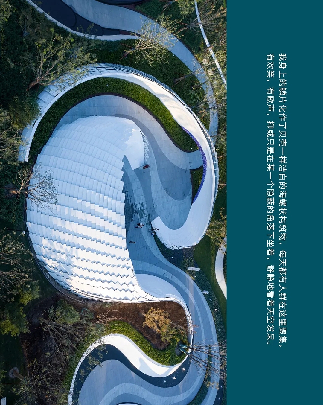 【案例分享】大东海·中央府