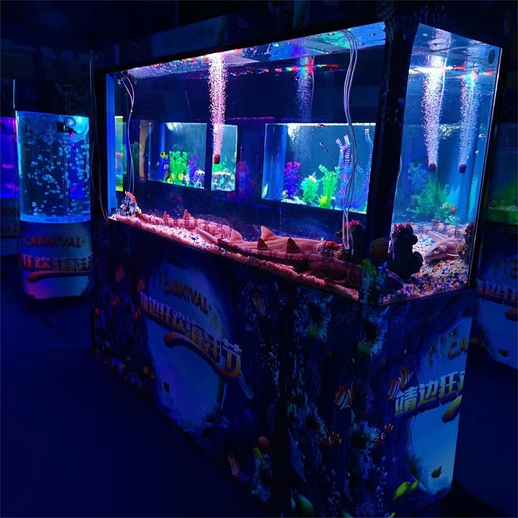 河南现货海洋展出租海狮表演租凭