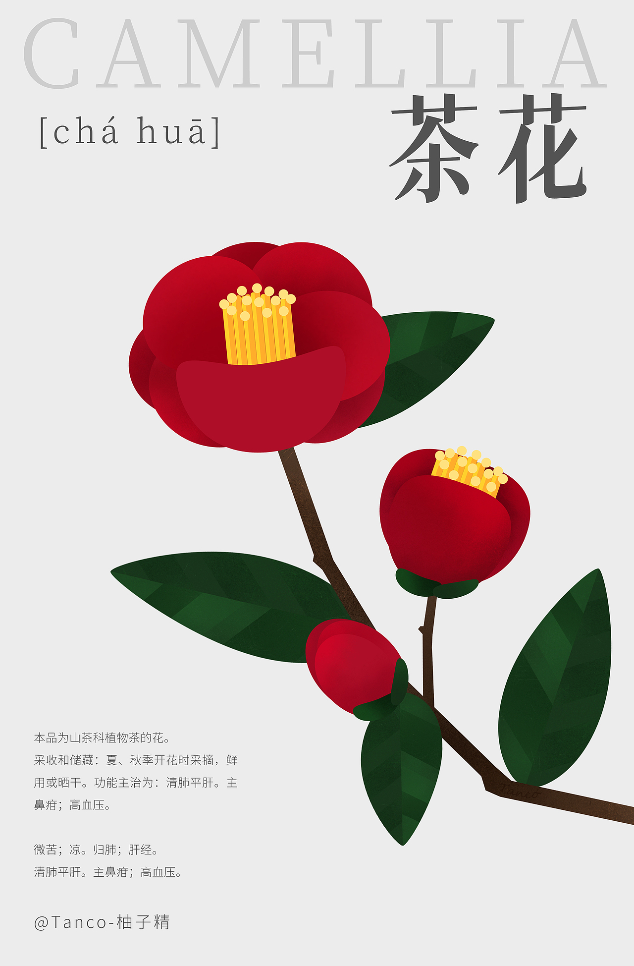 瓜果蔬菜花花（图ZMzA3NDUwNDY0） - 创作习作 - 站酷设计师Tanc_o原创素材 - 站酷ZCOOL