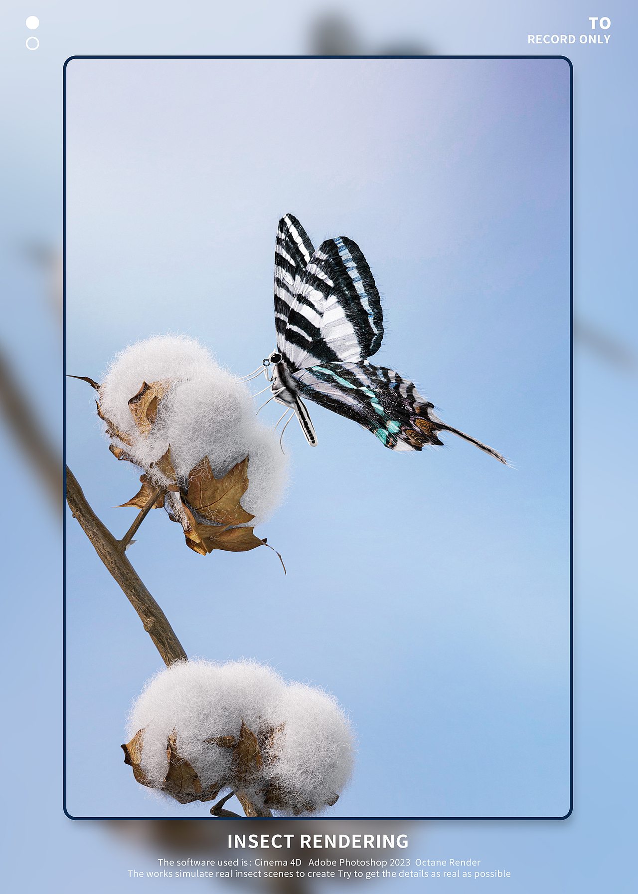 【昆虫Render】（图ZMzI1MTY4MTU2） - 人物/生物 - 站酷设计师Rxu_双木原创素材 - 站酷ZCOOL