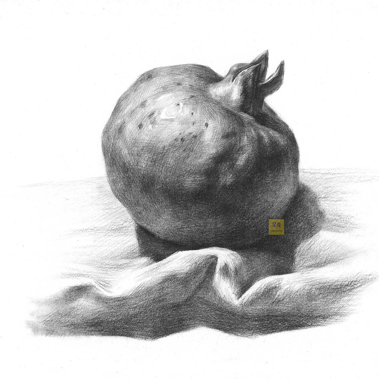 素描石榴绘画（图ZMzcwMTMzMTAw） - 绘画 - 站酷设计师星亮绘画art原创素材 - 站酷ZCOOL