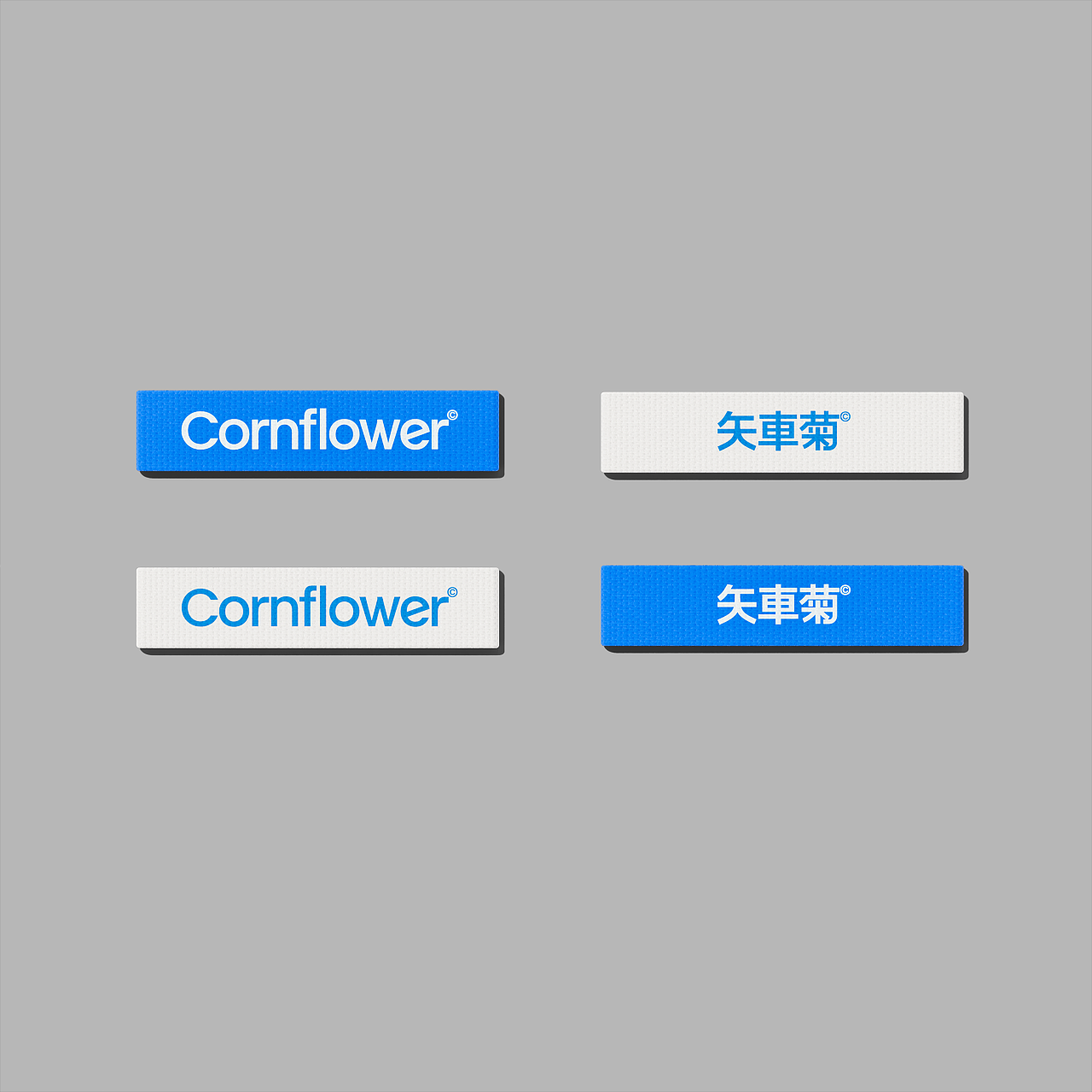 矢車菊Cornflower-由自然定义自然