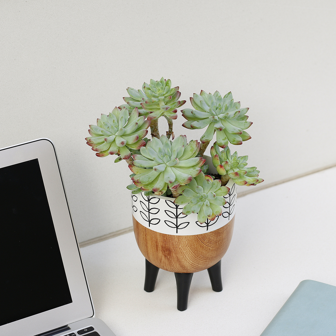 双陶瓷仿木花盆