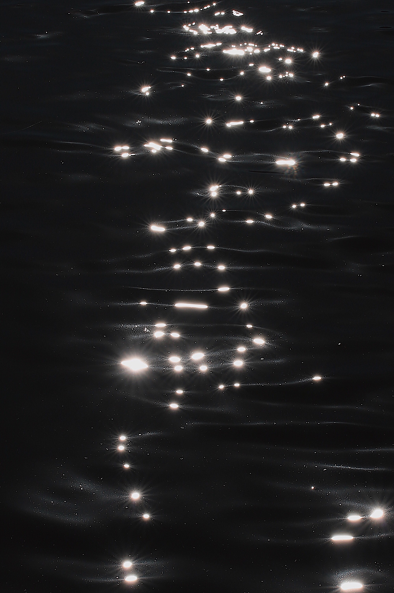 人像插画/干货分享(初学者必看)