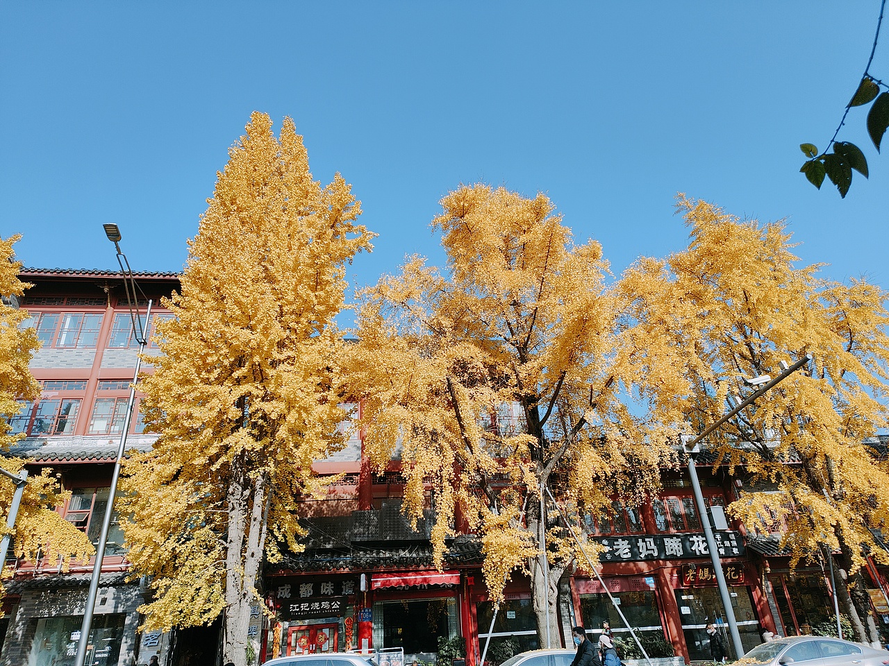 秋色（图ZMzYwMTM4ODQw） - 风光摄影 - 站酷设计师不羁的自由原创素材 - 站酷ZCOOL