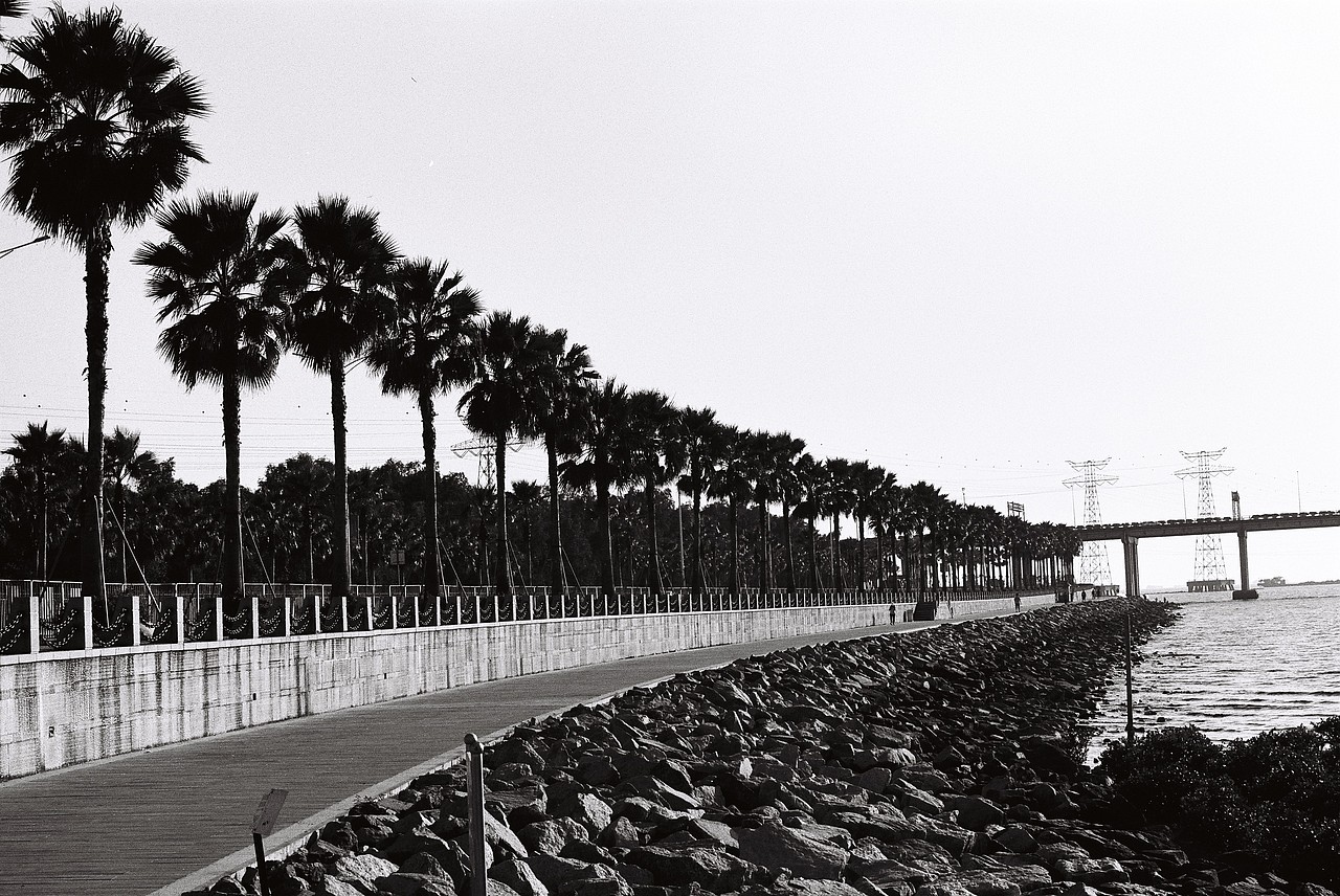 在黑白里温柔地热爱彩色,在彩色里虔诚地朝圣黑白