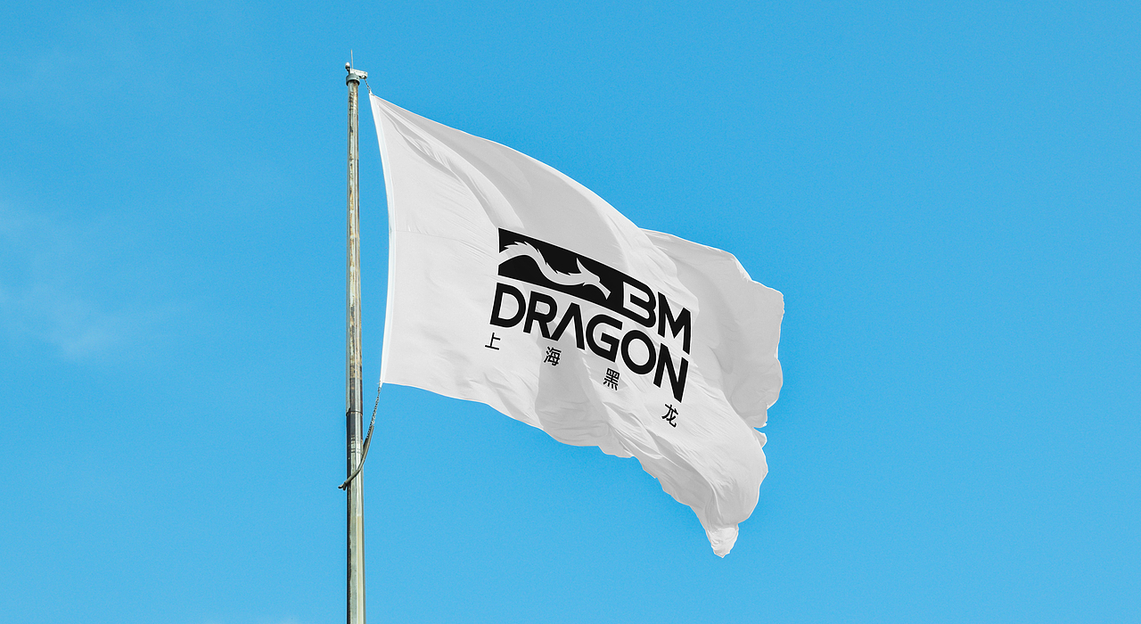 Black Mountain Dragon - Import and export company（图ZMzE5MDkyMzUy） - Logo - 站酷设计师rauli_design原创素材 - 站酷ZCOOL