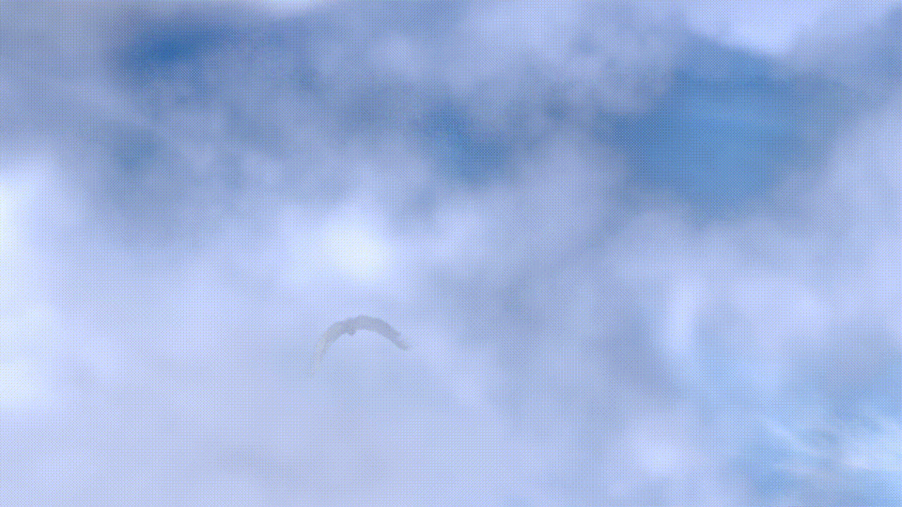 逍遥幻梦海外版宣发CG制作分享（图ZMzE5Mjc4NDQ4） - 动画/影视 - 站酷设计师绘炫动漫设计原创素材 - 站酷ZCOOL