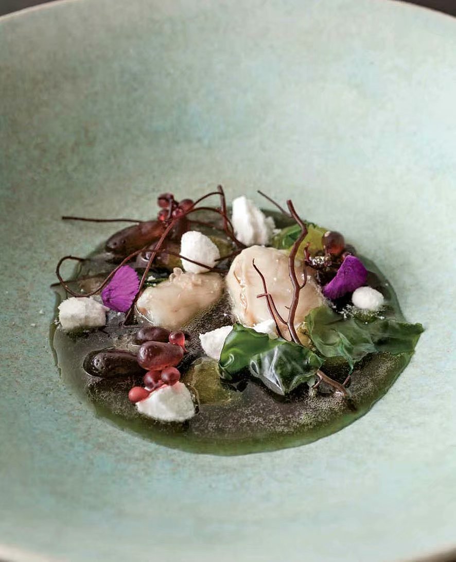 米其林摆盘分享