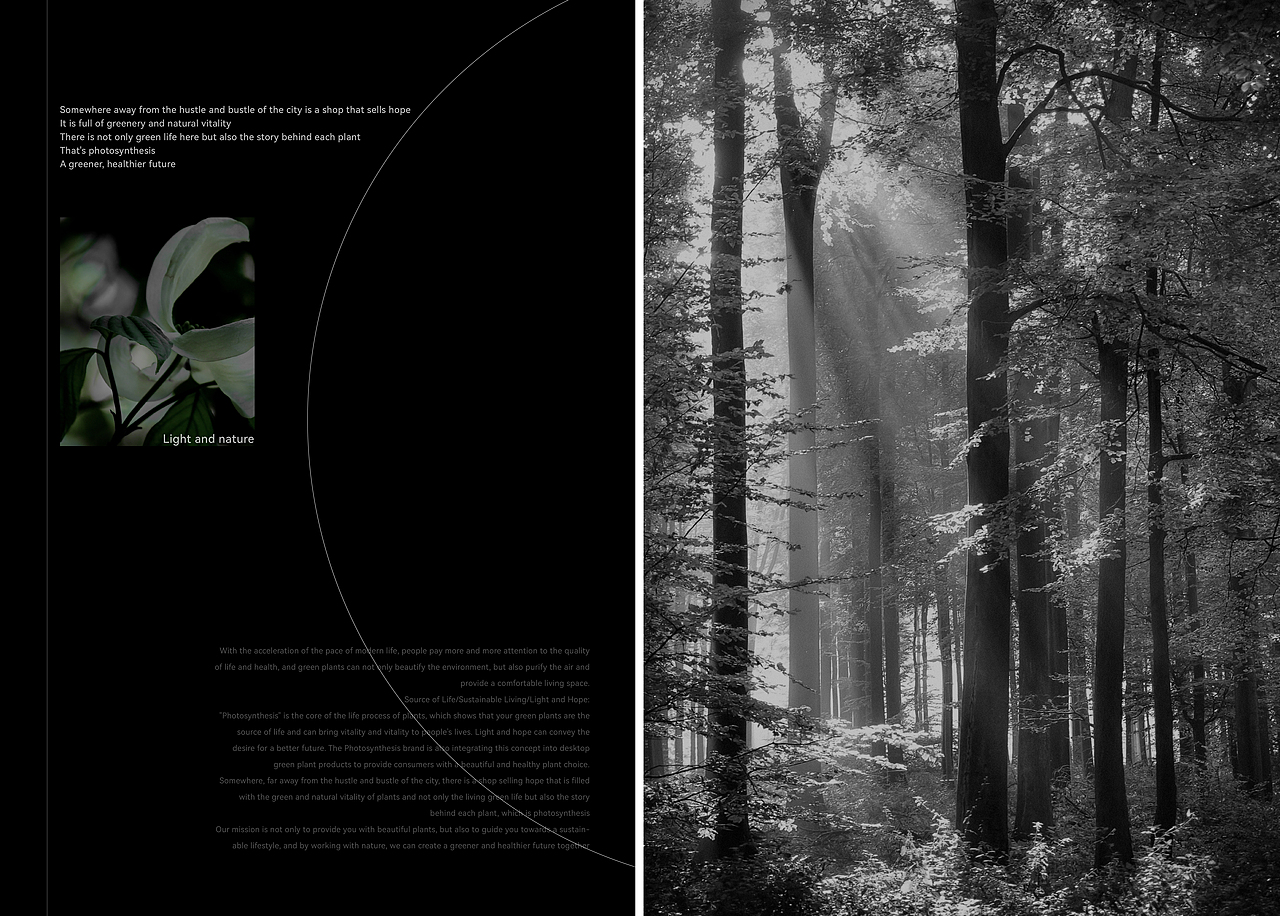 光合作用 | 桌面绿植包装 | 一家贩卖希望的商店