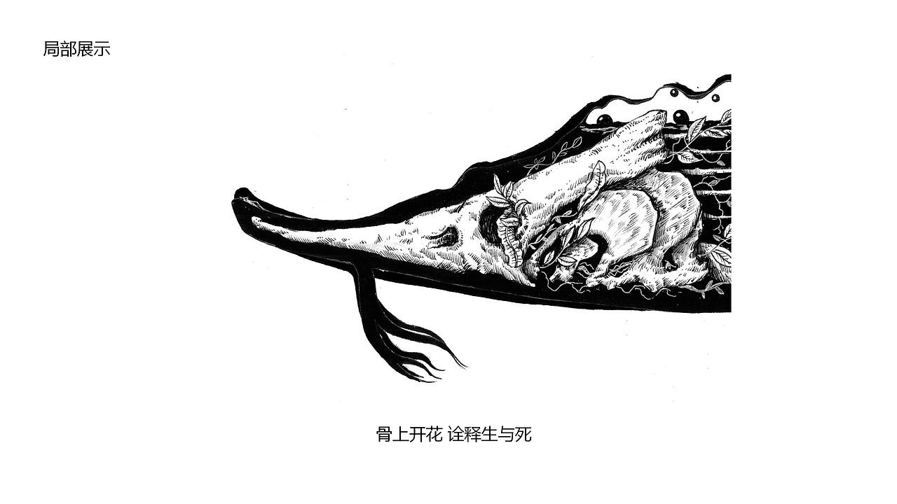 保护野生动物动态公益海报实验设计与探究
