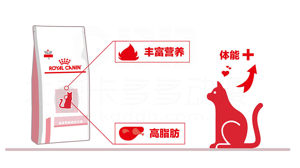 MG动画科普视频~讲解皇家猫粮肠胃道小知识（图ZMzI5OTQzMzQw） - Motion Graphic - 站酷设计师北京MG动画制作原创素材 - 站酷ZCOOL