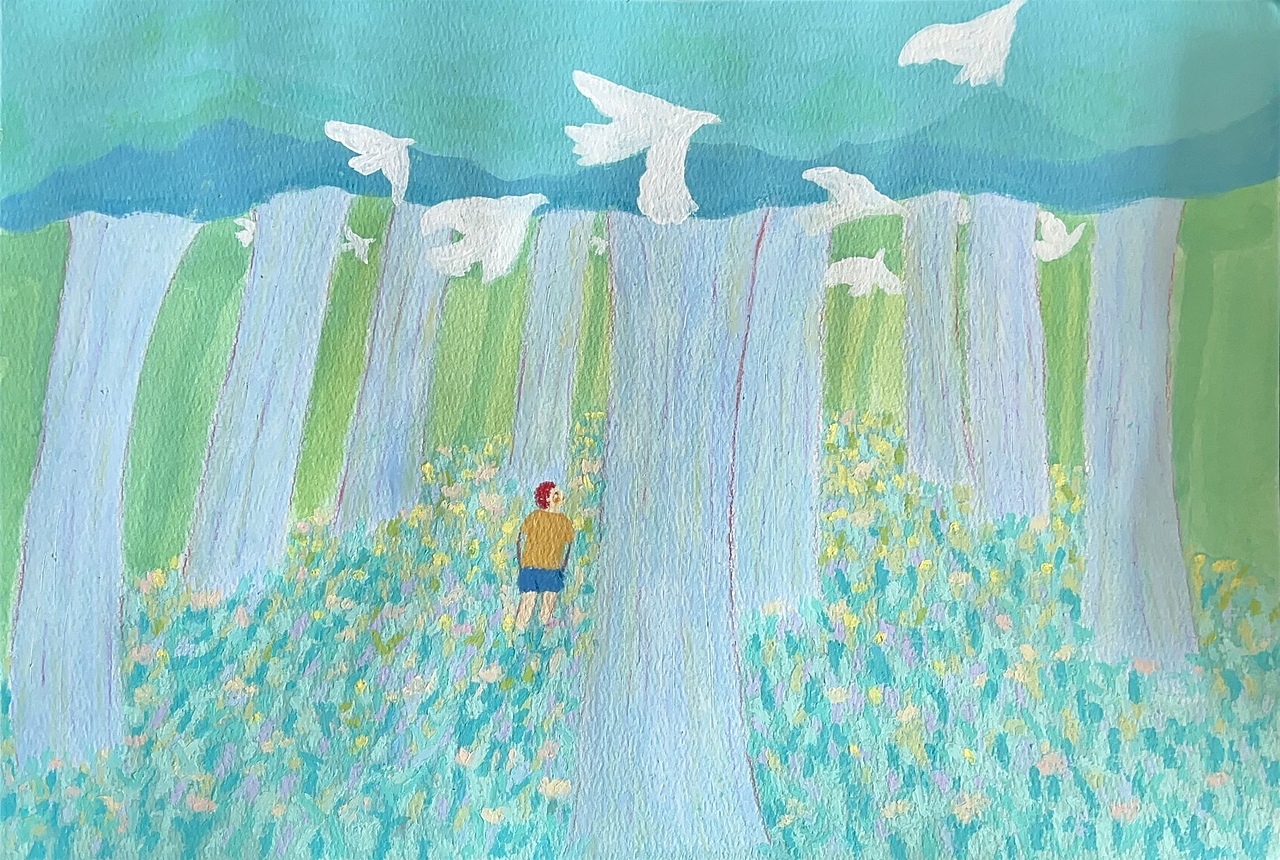 盛夏•林间
盛夏林间,阳光漫漫散散的透进来一点,白鸟穿梭而过,飞向天际