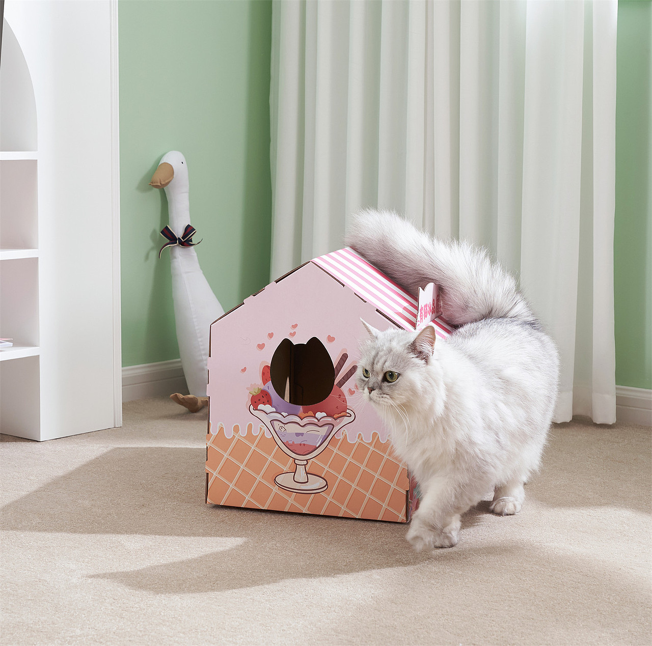 美女来杯猫咖嘛,宠物拍摄