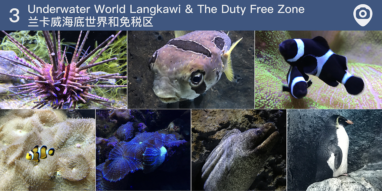 Ⓓ 马来西亚旅游攻略设计（图ZMTc4NzIxNDcy） - 风光摄影 - 站酷设计师Maya_Jason原创素材 - 站酷ZCOOL