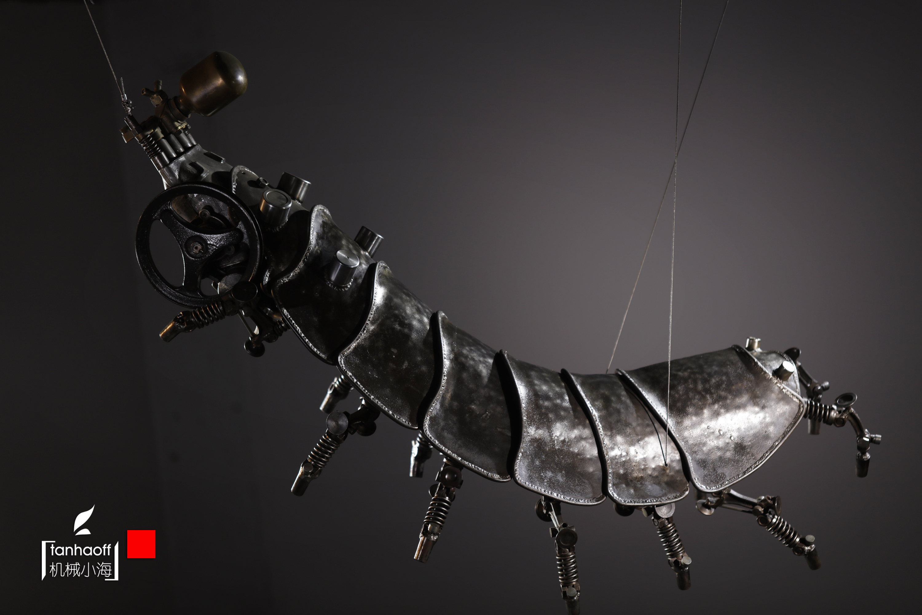 机械生命体 很多图