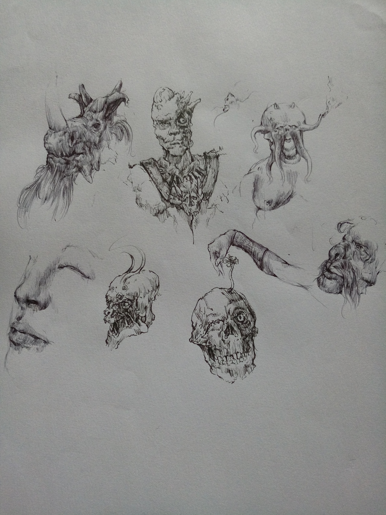 黑白圆珠笔针管笔习作