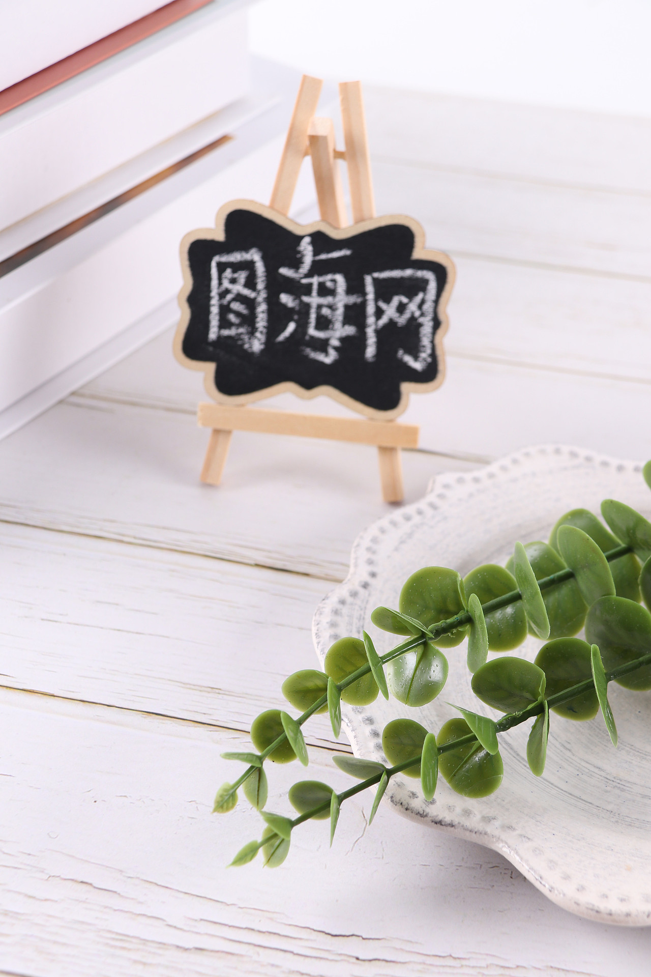 B03家居饰品\C11-仿真饰品\V06仿真尤加利叶X1