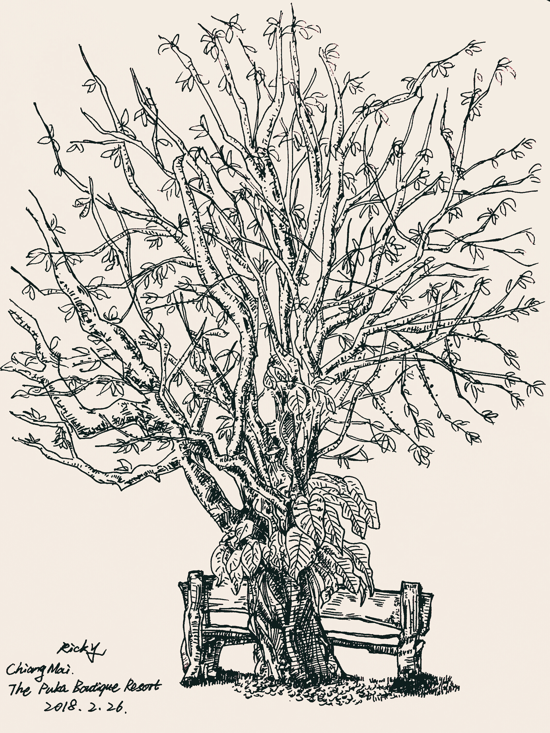 树下长椅,依稀往忆|纯艺术|速写|rickcarterchy - 原创作品 - 站酷