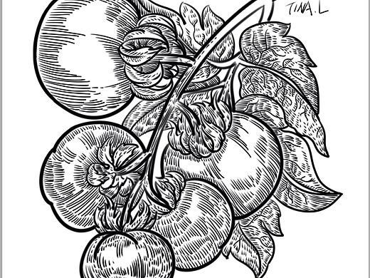 刻版画风格插画