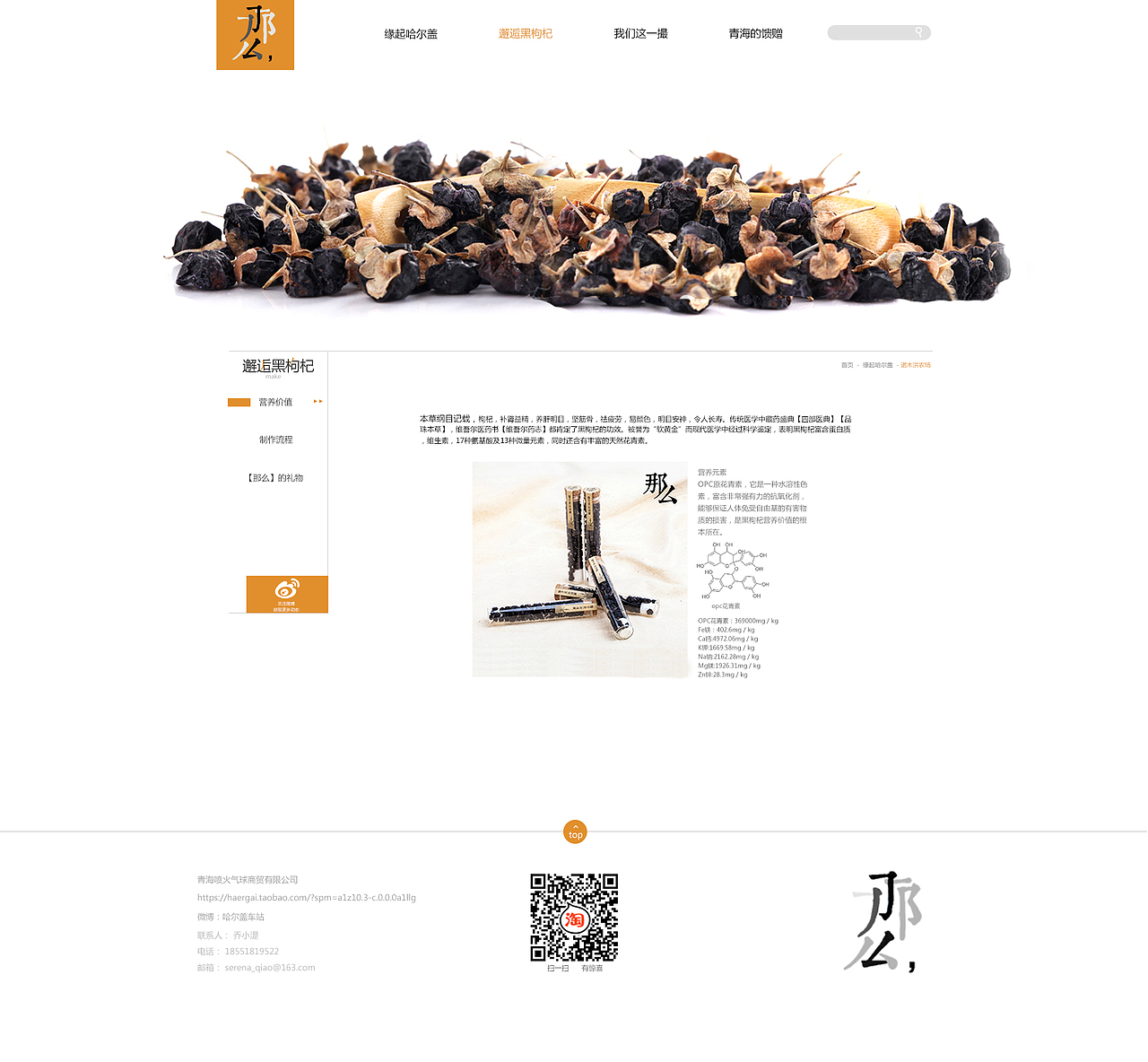 传统企业网站设计