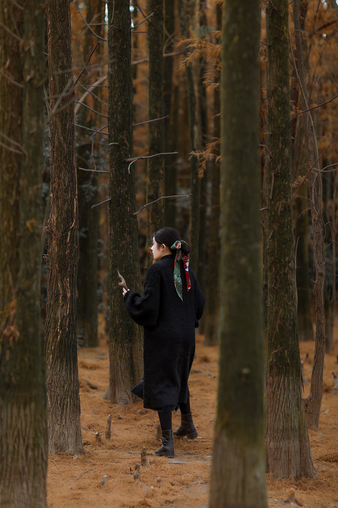 南昌白虎岭｜人像摄影｜红杉林（图ZMjgyOTc1ODQ4） - 人像摄影 - 站酷设计师Baleer原创素材 - 站酷ZCOOL