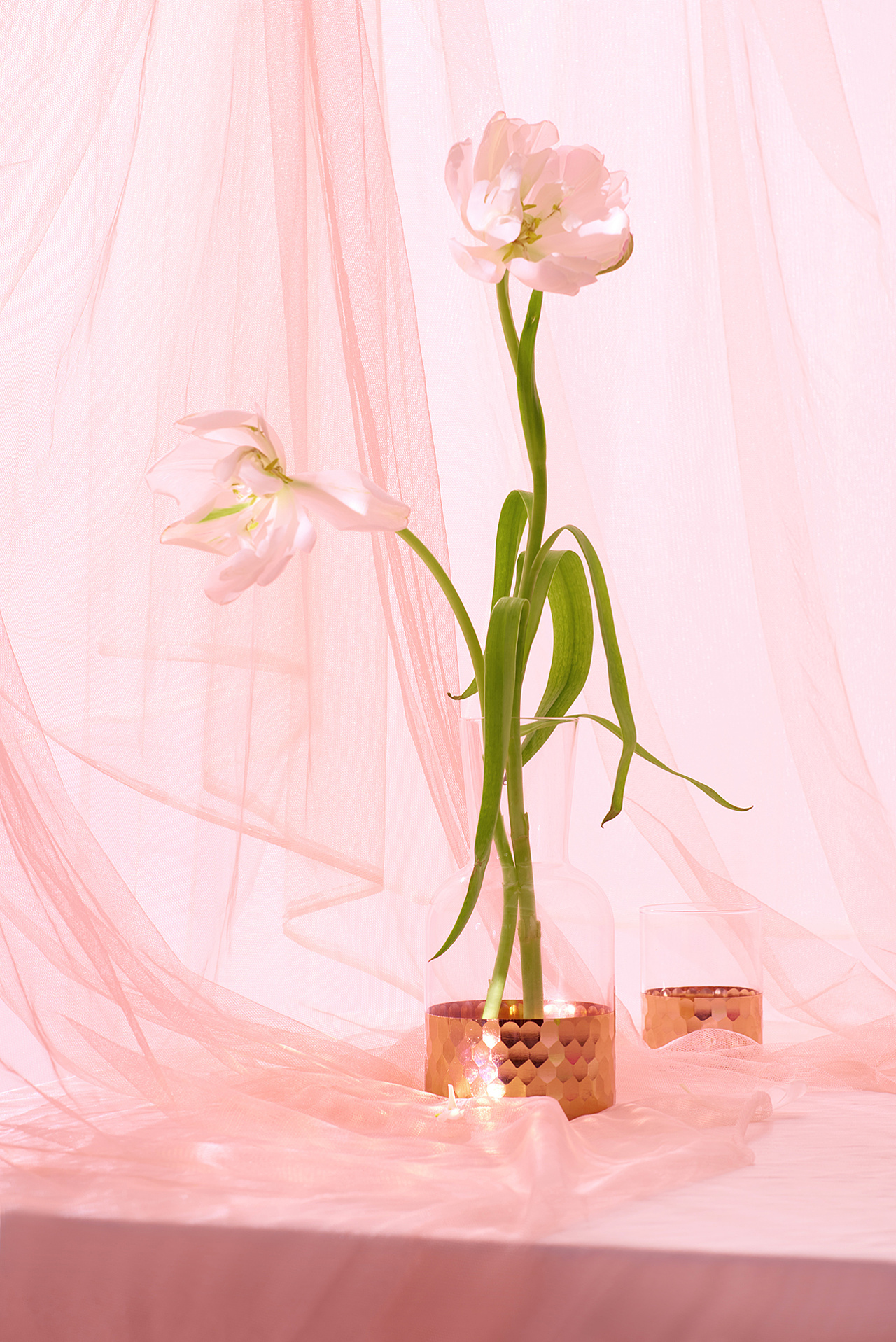 蛋糕不甜的個人主頁（封面預覽） - 主頁封面設置 - 站酷設計師蛋糕不甜原創(chuàng)素材 - 站酷ZCOOL