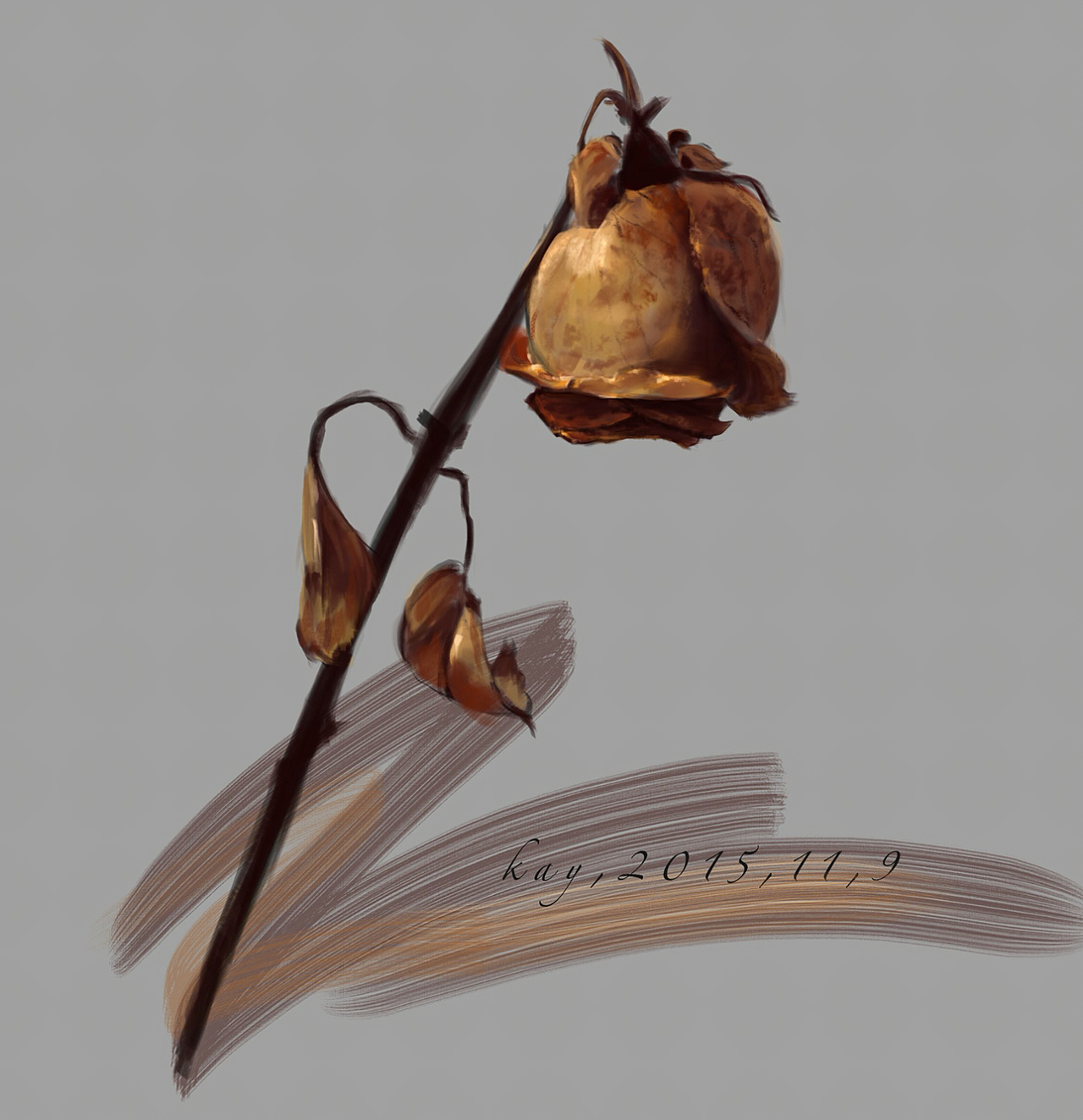 手绘 插画 玫瑰