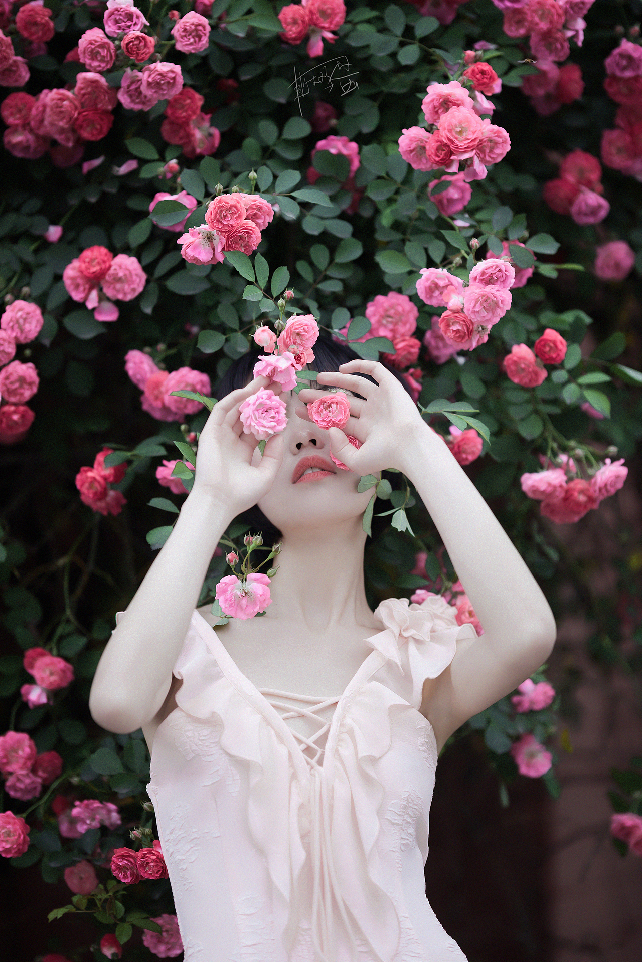 四月里遍地蔷薇|摄影|人像摄影|斯无鸡蛋_原创作品-站酷(zcool)