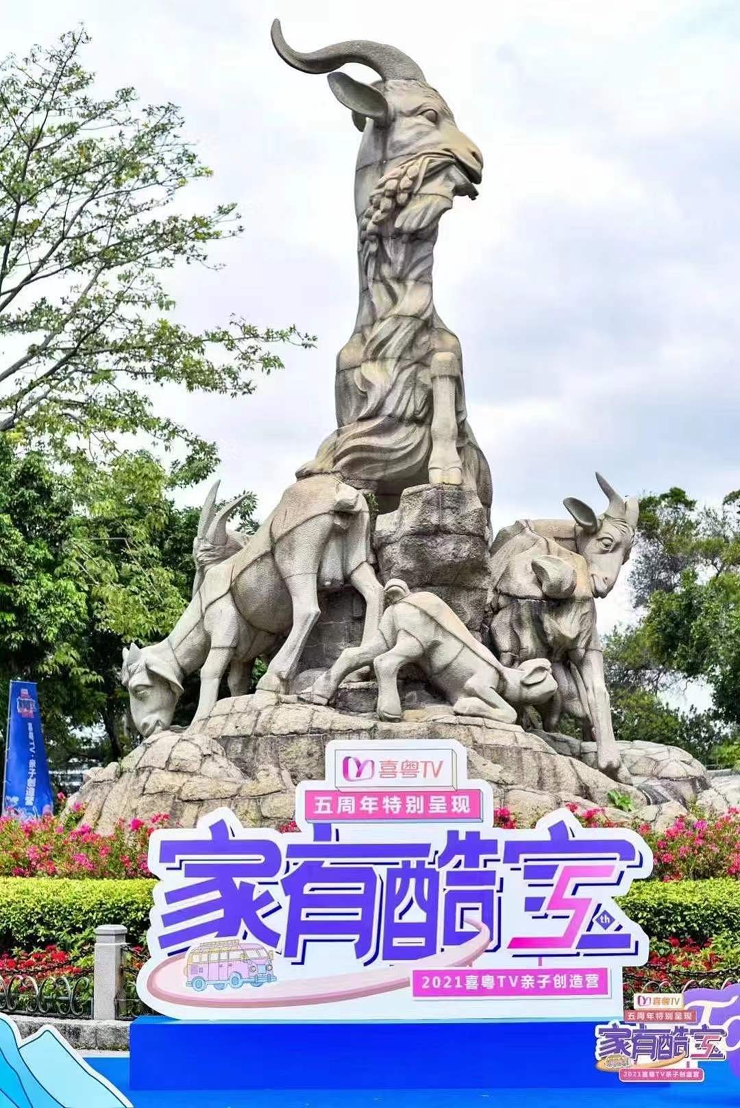 喜粤VT插画视觉深化