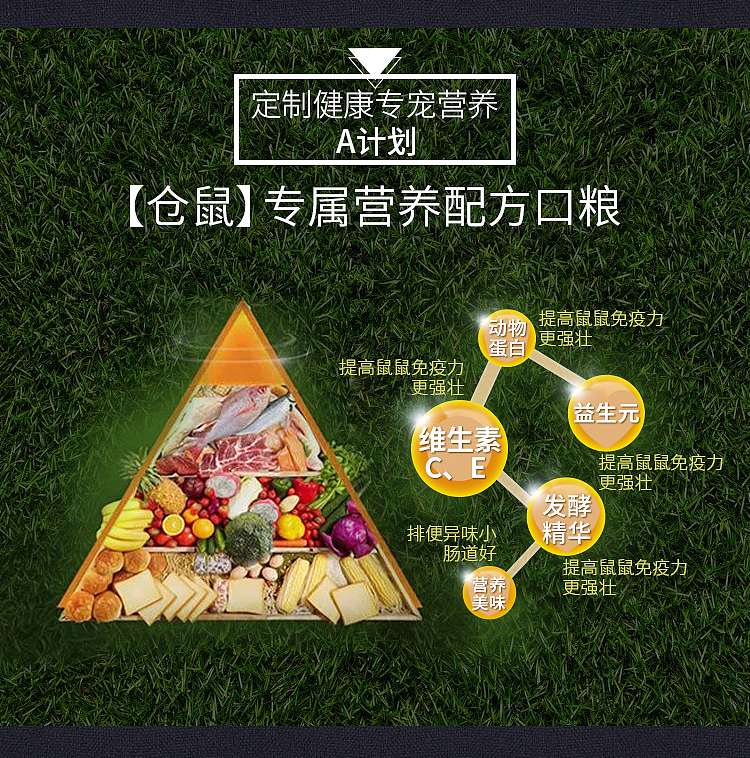 鼠粮 猫粮 宠物 用品详情页