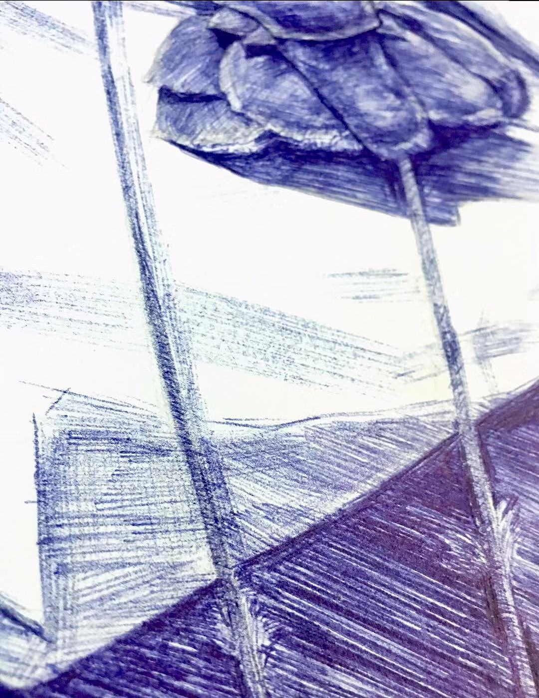 龙虾（图ZMTY5MDY5NDcy） - 绘画 - 站酷设计师zikeke原创素材 - 站酷ZCOOL