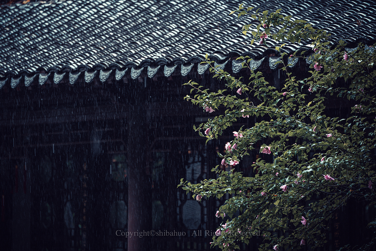 瞻园夏雨