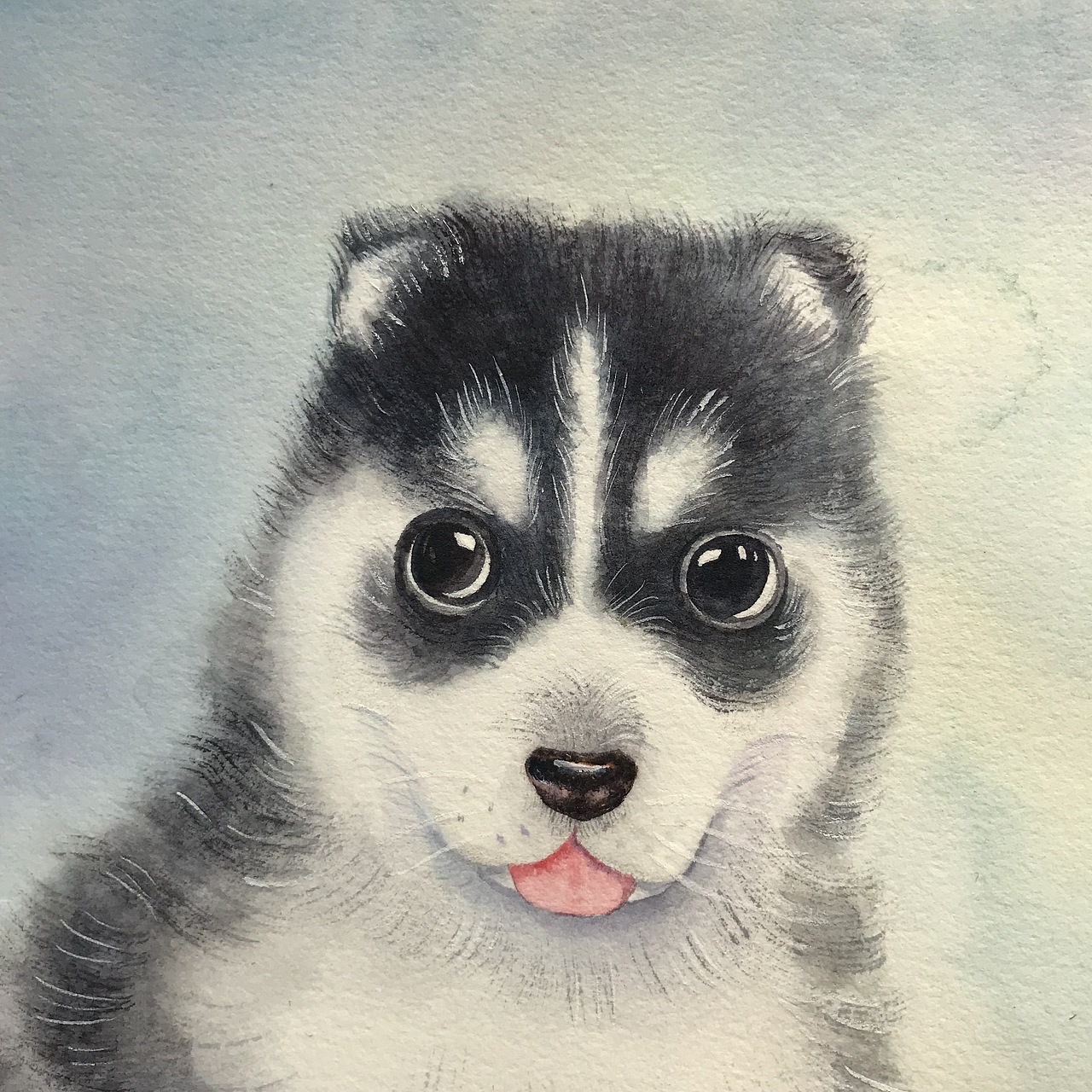 水彩动物 插画