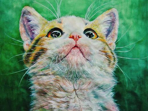 一只貓（個(gè)人主頁-ZMjcyMTE0ODA=） - 創(chuàng)作習(xí)作 - 站酷設(shè)計(jì)師沒糖丸子原創(chuàng)素材 - 站酷ZCOOL