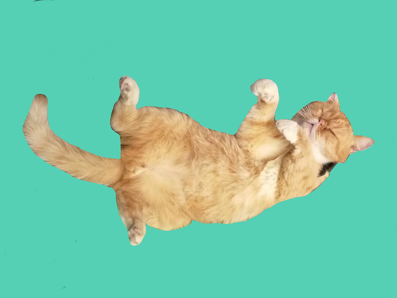 《麦田基友（摹梵高）》（图ZMTYyNDExMzk2） - 绘画 - 站酷设计师小黑儿朱原创素材 - 站酷ZCOOL