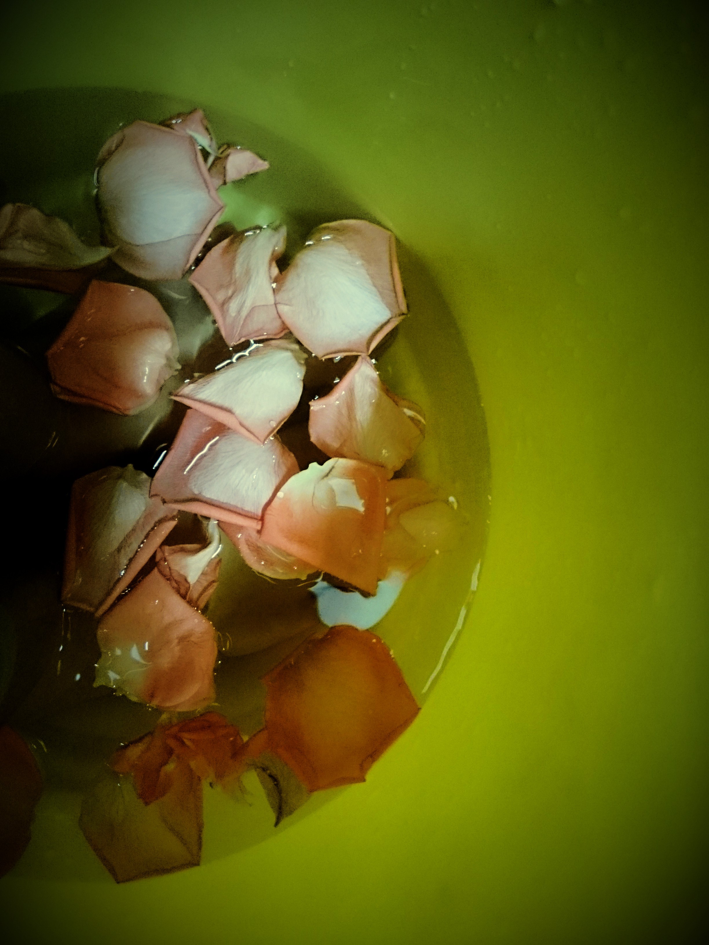 水中花,手机摄影