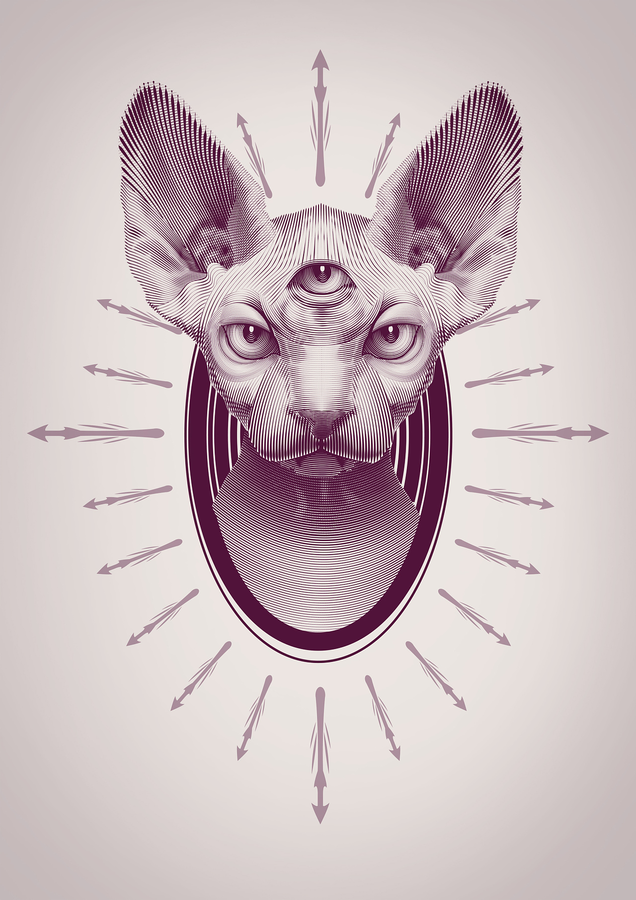 【钞票机理】无毛猫