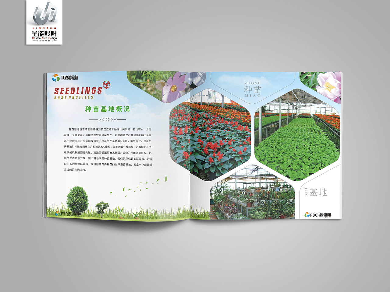 金能设计作品·画册欣赏-2