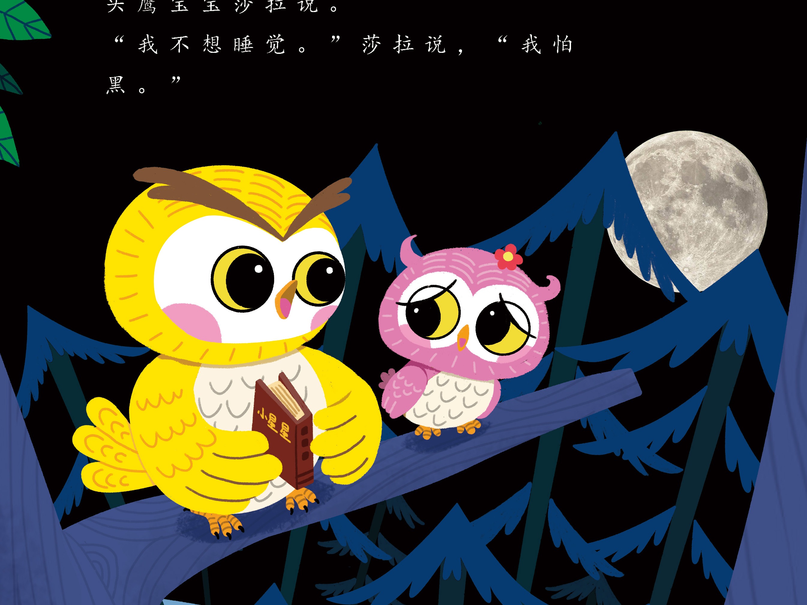 已出版《世界儿童.幼儿绘本》-《好多好多星星》