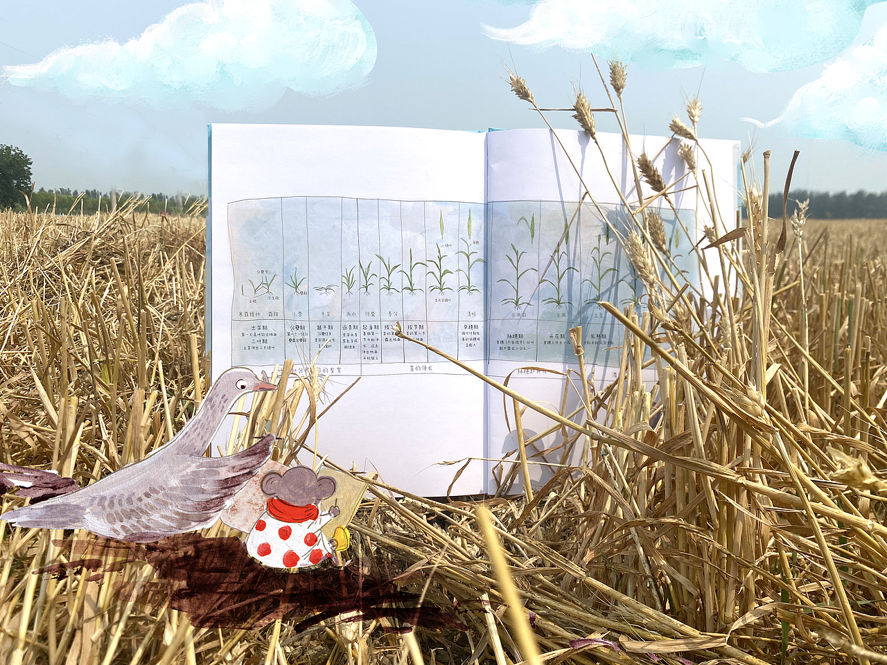 《風(fēng)中的麥田》上市了（圖ZMzA4NzUxOTIw） - 書(shū)籍/畫(huà)冊(cè) - 站酷設(shè)計(jì)師圓腳豆原創(chuàng)素材 - 站酷ZCOOL