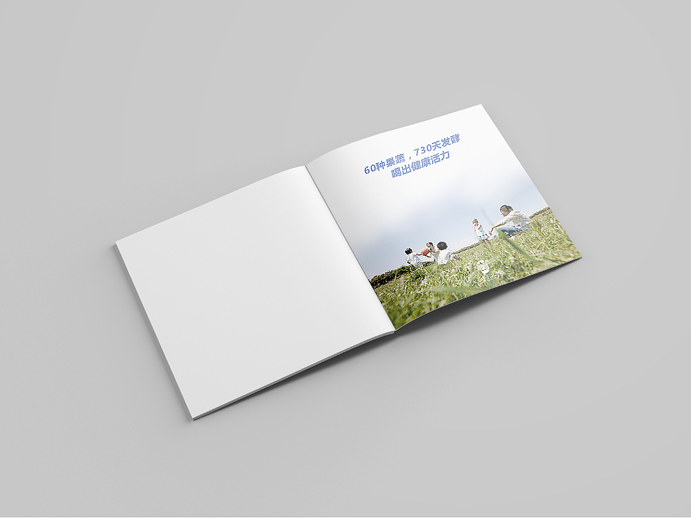 品牌手册/招商书册——大康汉宫（酵素）（图ZNzI2NDY3ODg=） - 书籍/画册 - 站酷设计师JIYI奕原创素材 - 站酷ZCOOL