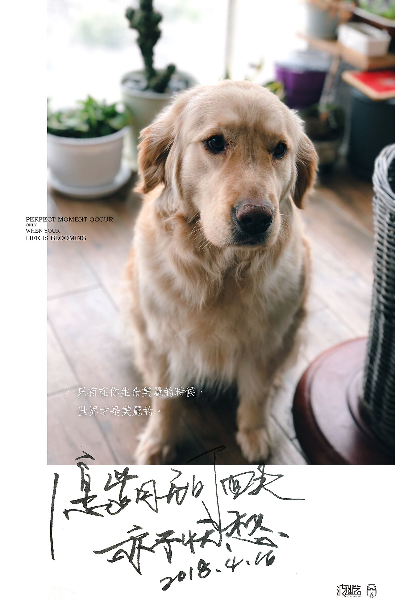 每日小练习（图ZMTE1MTk0MTMy） - 字体/字形 - 站酷设计师差不多老王原创素材 - 站酷ZCOOL