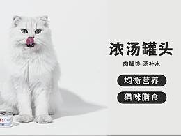宠物猫罐头