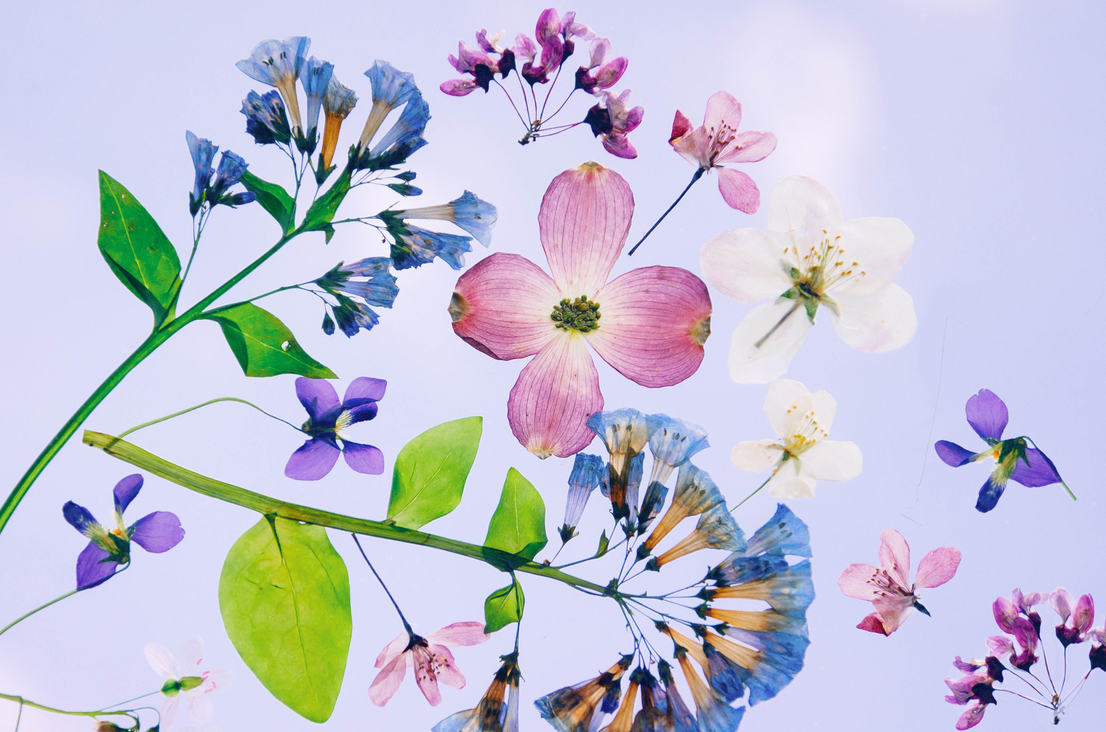 Xing杏酱的个人主页（封面预览） - 主页封面设置 - 站酷设计师Xing杏酱原创素材 - 站酷ZCOOL