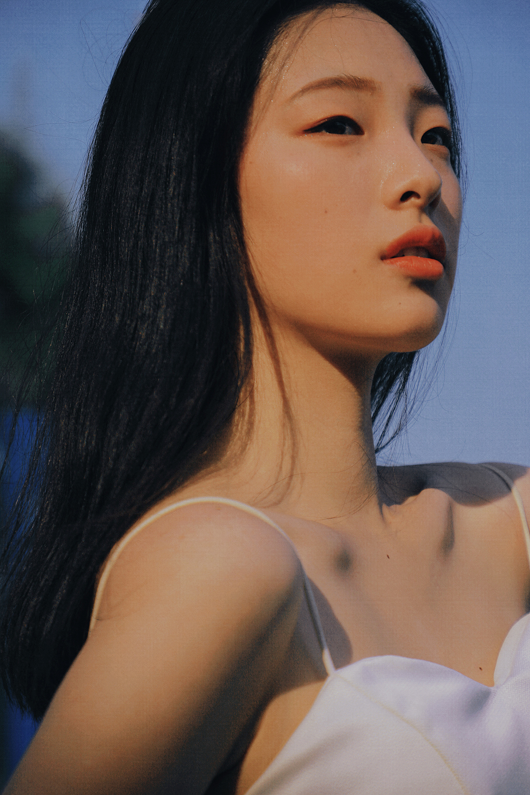 夏夜晚风