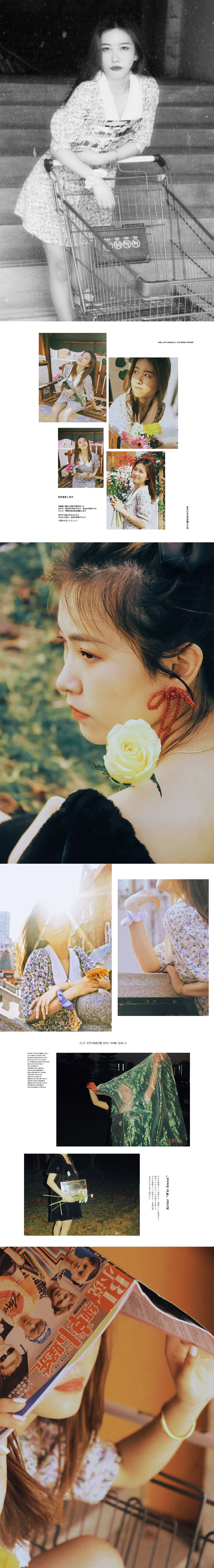 【写真集】早中晚